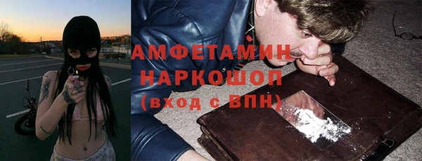 прущий лед Алзамай