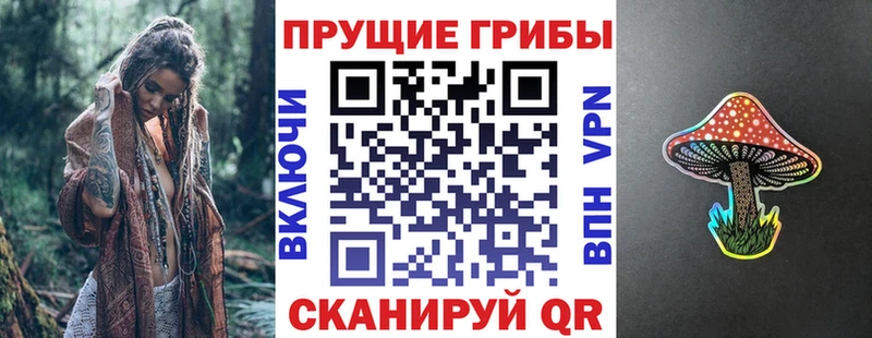 маркетплейс формула цена Новая Ладога Псилоцибиновые грибы Psilocybine cubensis hydra ссылка