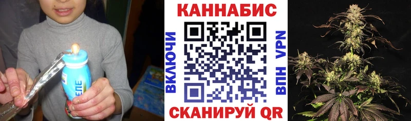 Бошки марихуана сатива  как найти наркотики  Новая Ладога 